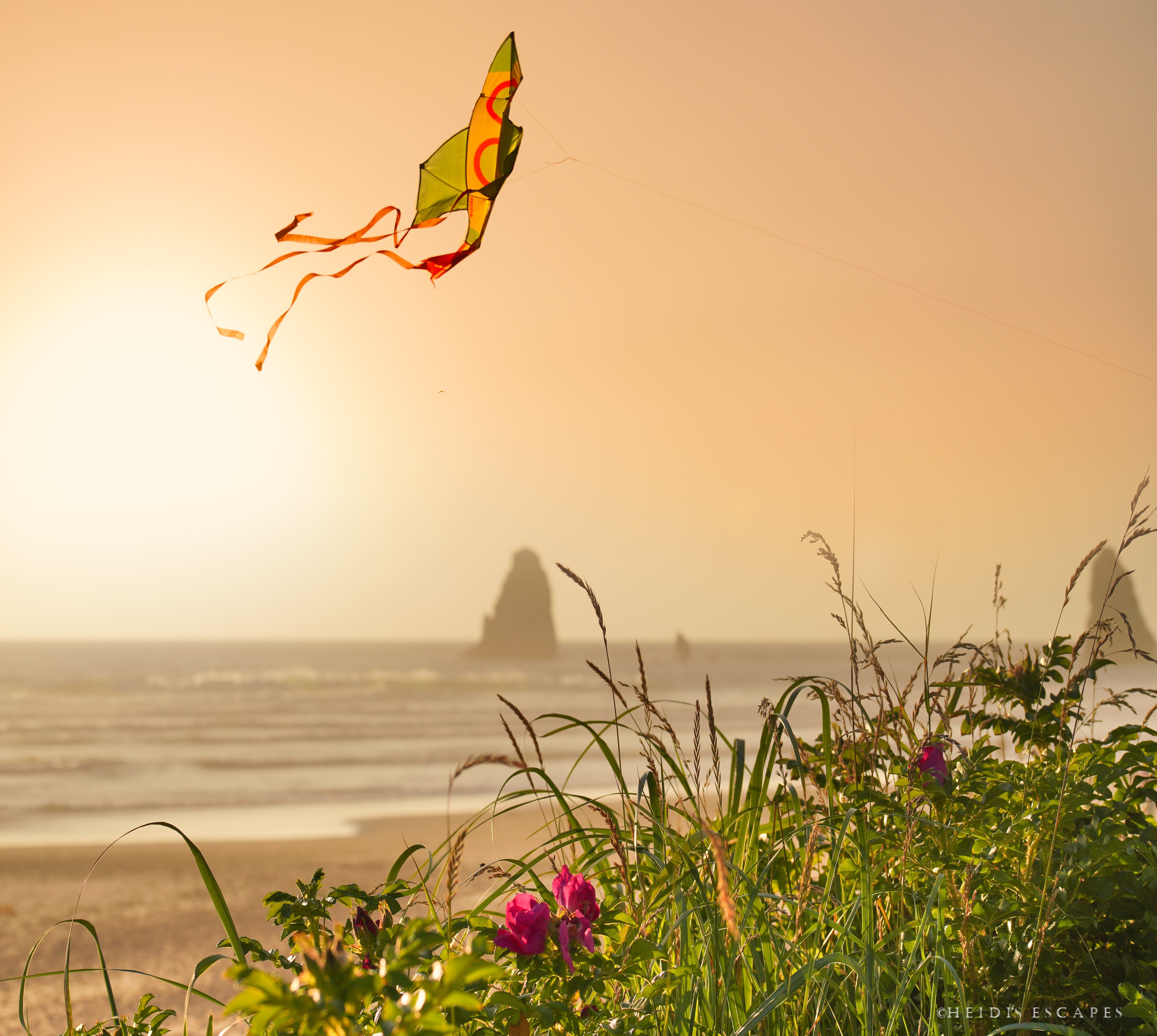 Cannon Beach