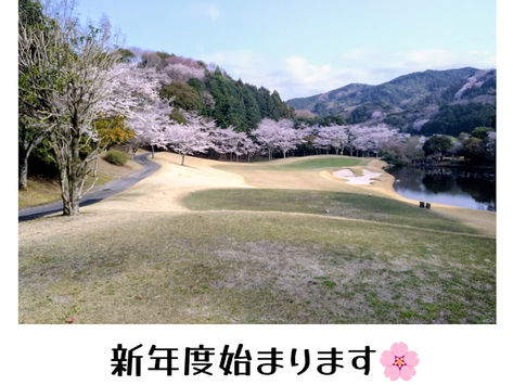 新年度始まりました！