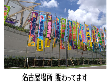 名古屋場所 にぎわってます