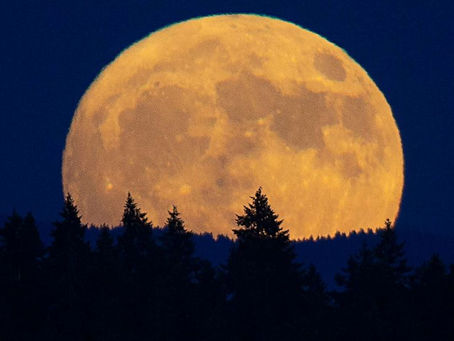 Double Feature: Two Supermoons Decorating the Skies in August