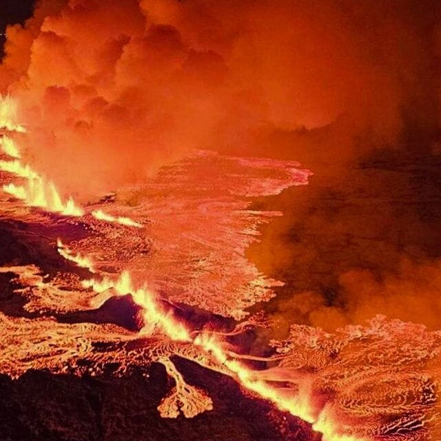 ree