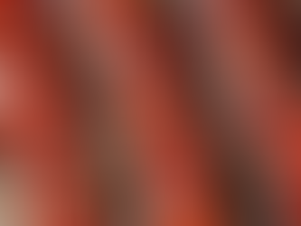 Papal Conclave to Begin on May 7