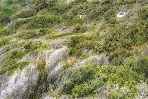 Paysage
Personal work