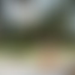 wedding venue Villa Corallo, Abruzzo, location matrimonio in Abruzzo