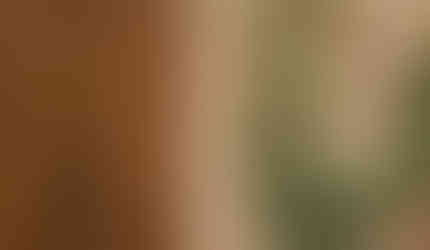 private villa wedding in italy