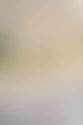 getting married at villa cattani stuart, italy, le marche, pesaro