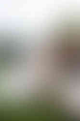 Wedding at Nikis Resort, Getting Married in Umbria