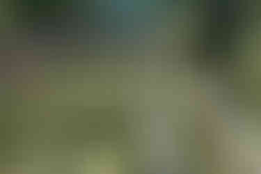 Destination Wedding in Italia, Villa Miralfiore, Le Marche