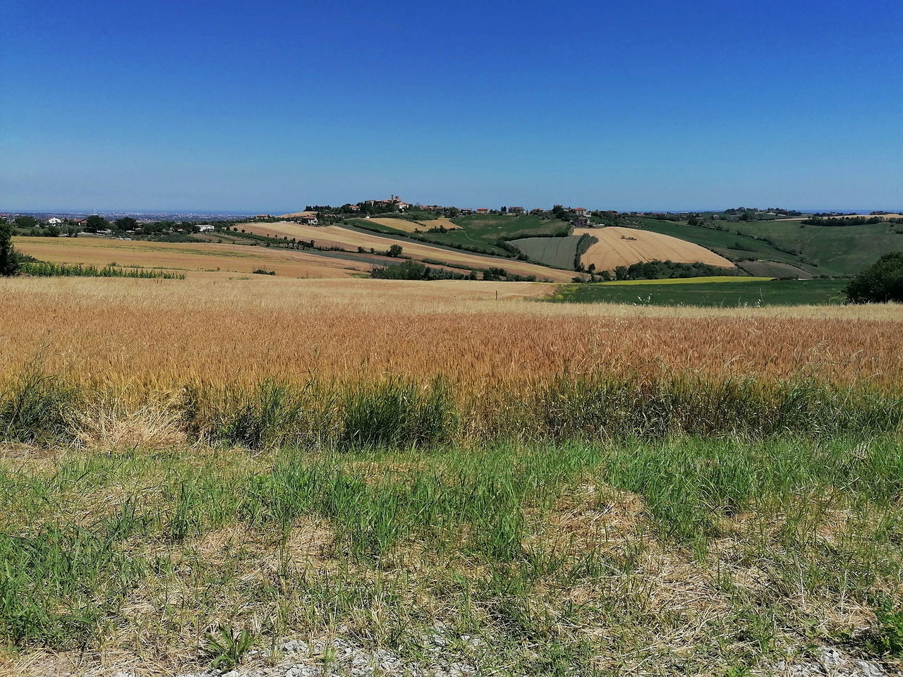 tenuta biodinamica mara location matrimonio