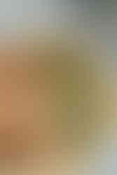 wedding catering & banqueting in italy