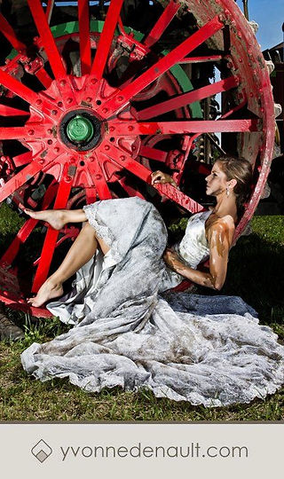 trash the dress