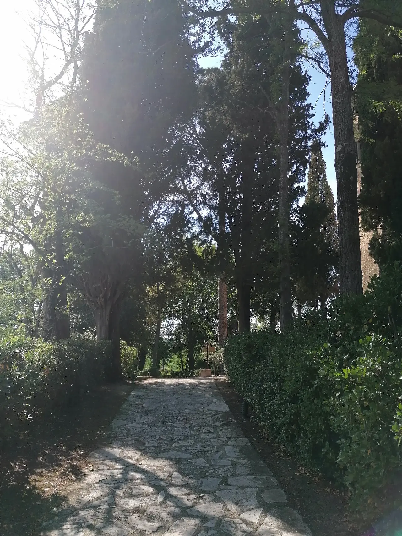 matrimonio a palazzo viviani montegridolfo