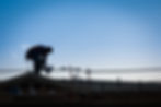 construction-workers-silhouette-on-roof-of-buildin-2024-09-11-23-01-51-utc_edited.jpg