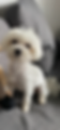 IMG_3384_edited.png