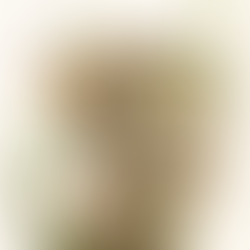 🌿 Regeneración psicointestinal