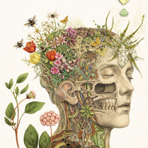 🌿 Regeneración psicointestinal