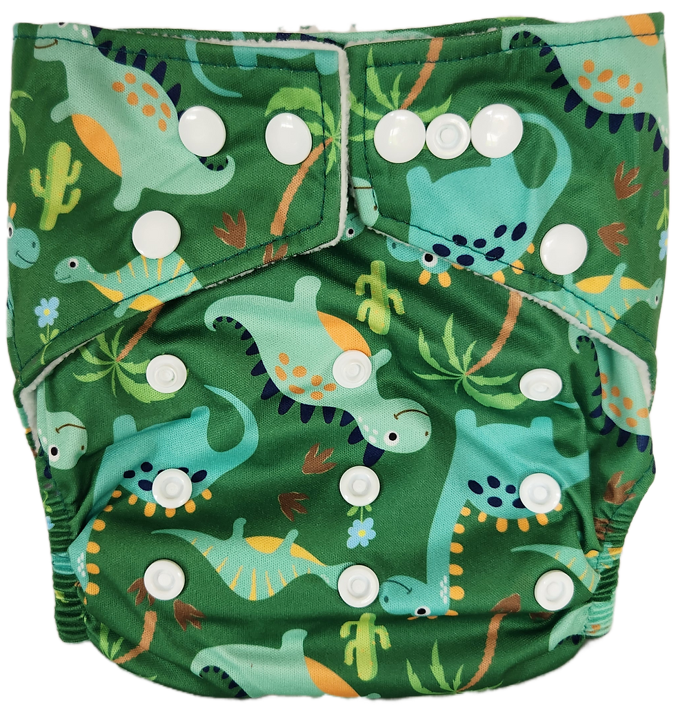Dinosaur cloth nappy