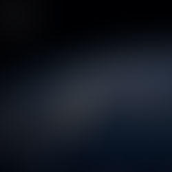 A brief history of risk intelligence