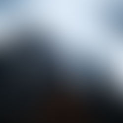 What is risk intelligence?