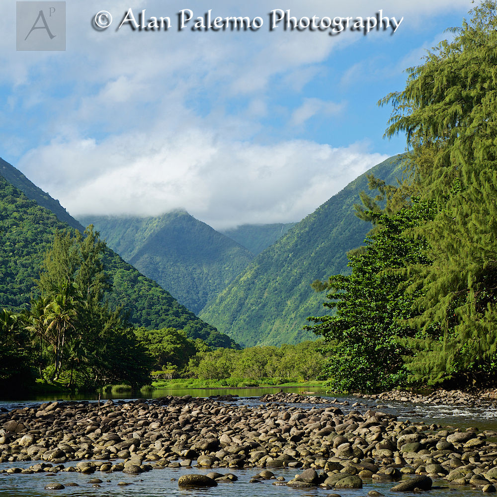 Waipi'o Valley River
