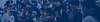 Website Banners -11.png