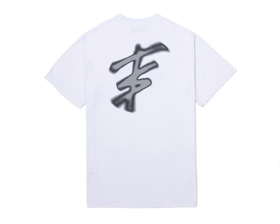 Miniatura: CAMISETA - RUSTY GRAY