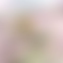 宝石買取✨増えてますよ！！