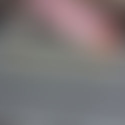 本日の買取紹介