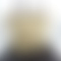 【GUCCI】トートバック