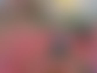 圓光寺の散紅葉と十牛之庭/Fallen Maple Leaves In Enkoji Temple And Its Garden