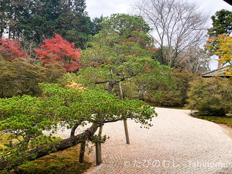 曼殊院の紅葉/Mansyuin in Autumn