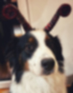 Profile_02.jpg