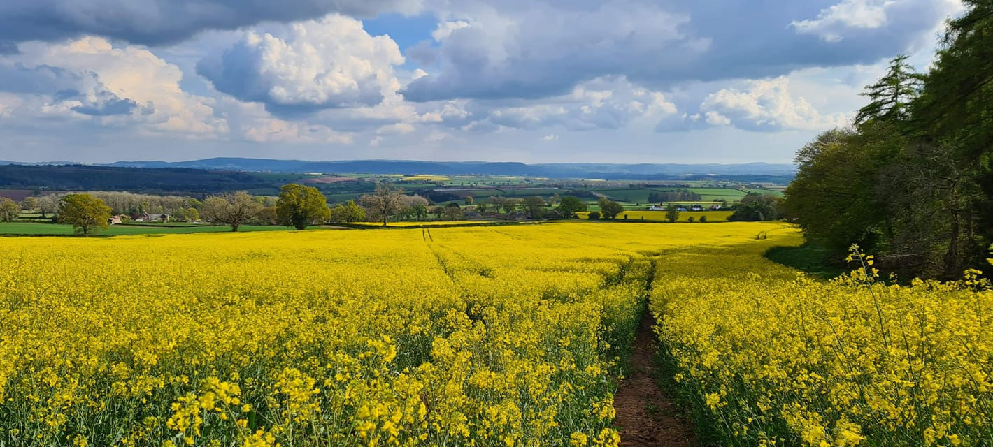 Beautiful scenery in Brockhampton