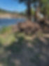 image4.jpeg