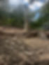 image0 (1).jpeg