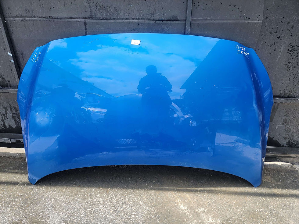 Miniatura: 16/21 hyundai ioniq hood 