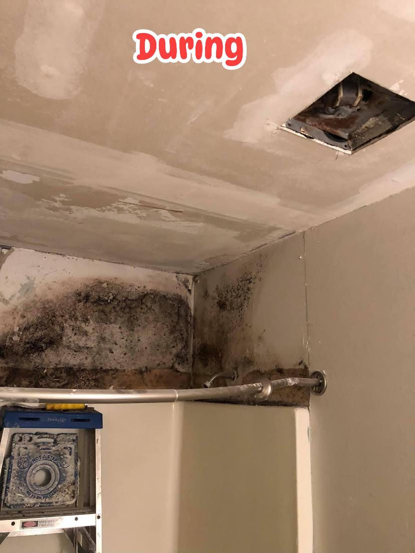 growing mold behind tiles