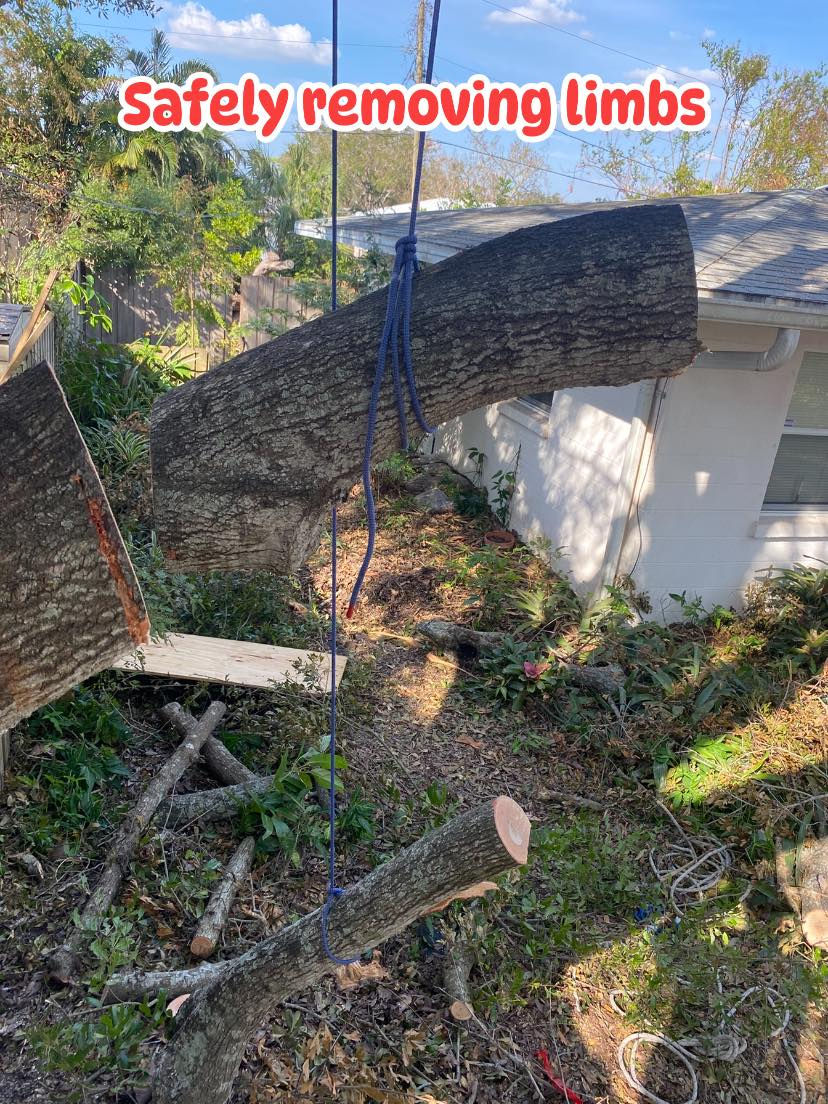 Safely removing limbs
