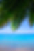 900_1771170HighRes.jpg