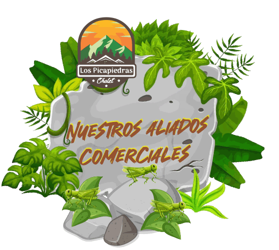 diseño gif.gif