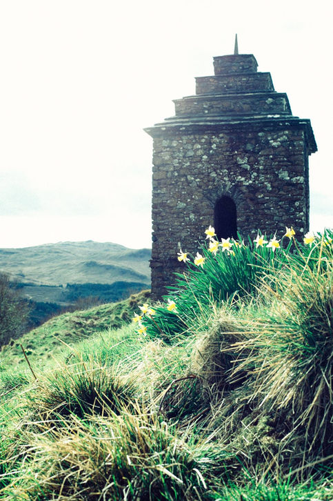 Inveraray and Daffodils