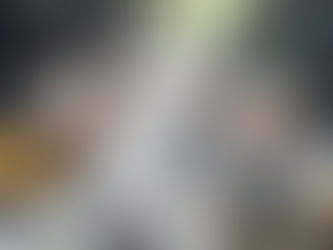 The True Value of Expert Services