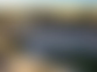 Highlands Market Trends