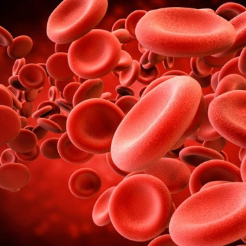 Nồng độ Ferritin (Sắt dự trữ) thấp, dù không thiếu máu