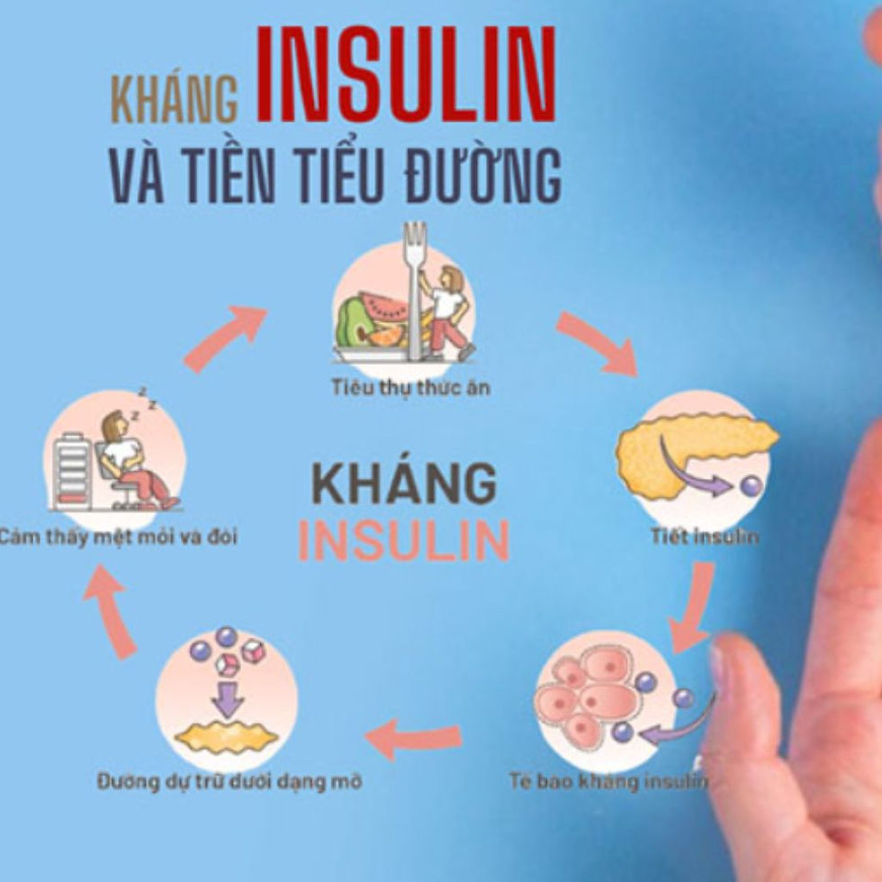 Kháng Insulin và các vấn đề về đường huyết