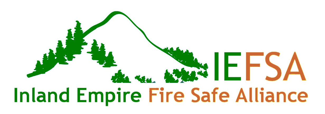 logo 10-05.GIF