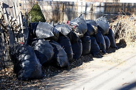 Bags of pine needles.jpg