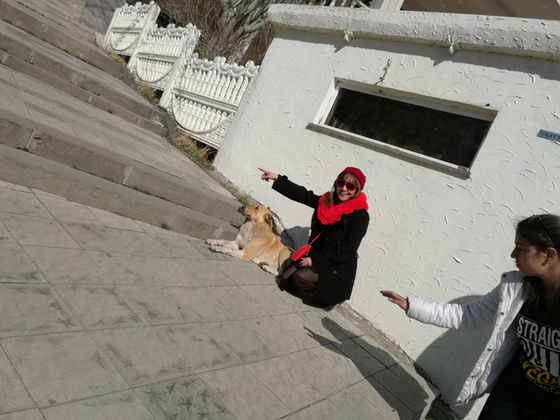 New Changes, New You