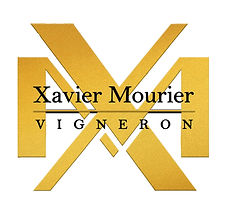 logo XAVIER MORION.jpg