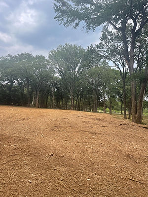 Site Prep.jpeg